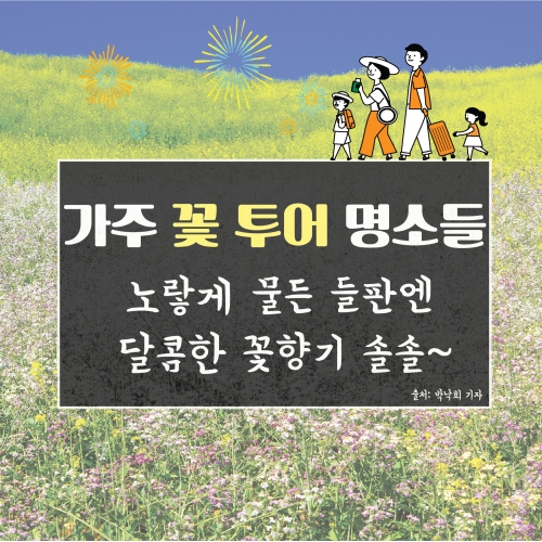 [가주 꽃 투어 명소들] 노랗게 물든 들판엔 달콤한 꽃향기 솔솔~