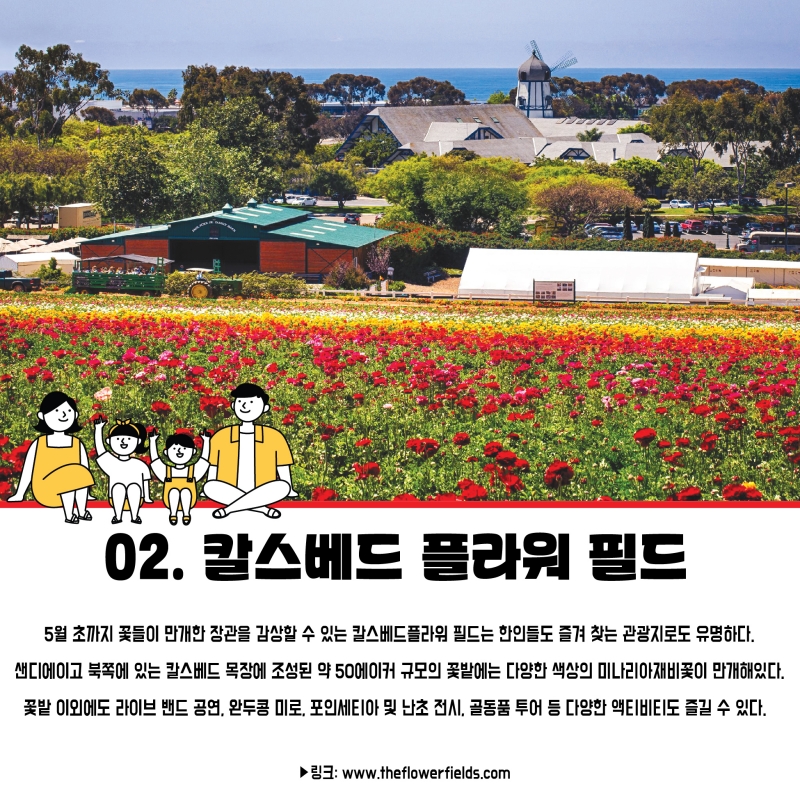 [가주 꽃 투어 명소들] 노랗게 물든 들판엔 달콤한 꽃향기 솔솔~