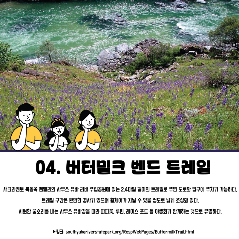 [가주 꽃 투어 명소들] 노랗게 물든 들판엔 달콤한 꽃향기 솔솔~