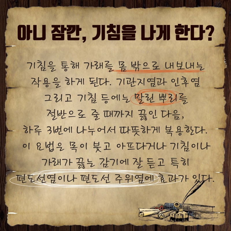 지긋지긋한 감기! 이제 집에서도 쉽게 다스리자