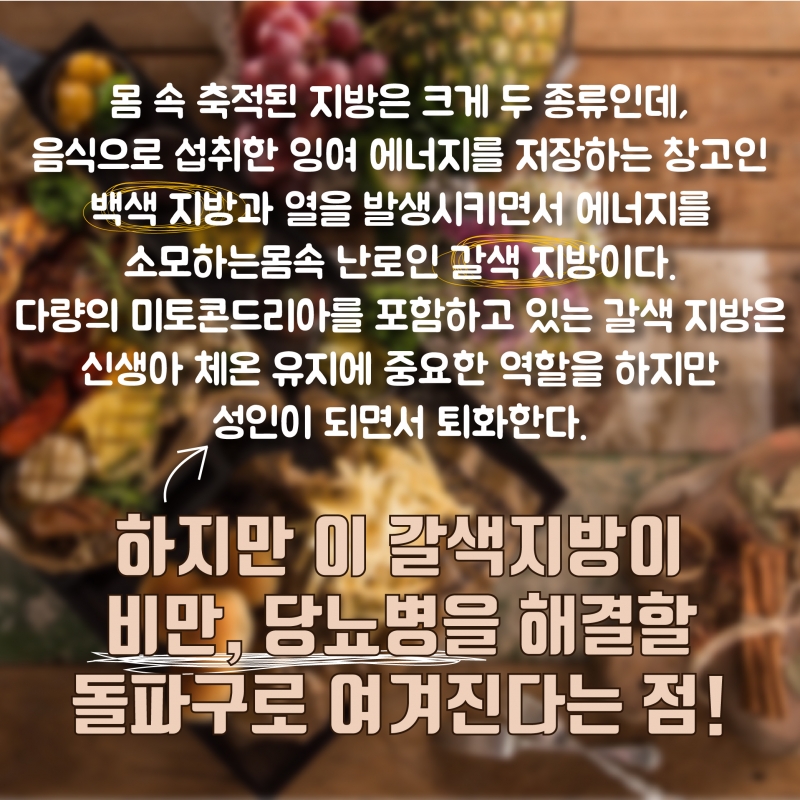 [백색지방vs갈색지방] 우리 몸에 좋은 지방이 있다?