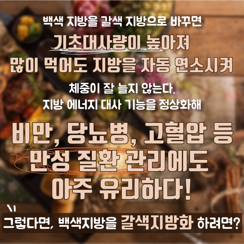 [백색지방vs갈색지방] 우리 몸에 좋은 지방이 있다?