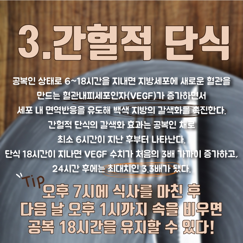 [백색지방vs갈색지방] 우리 몸에 좋은 지방이 있다?