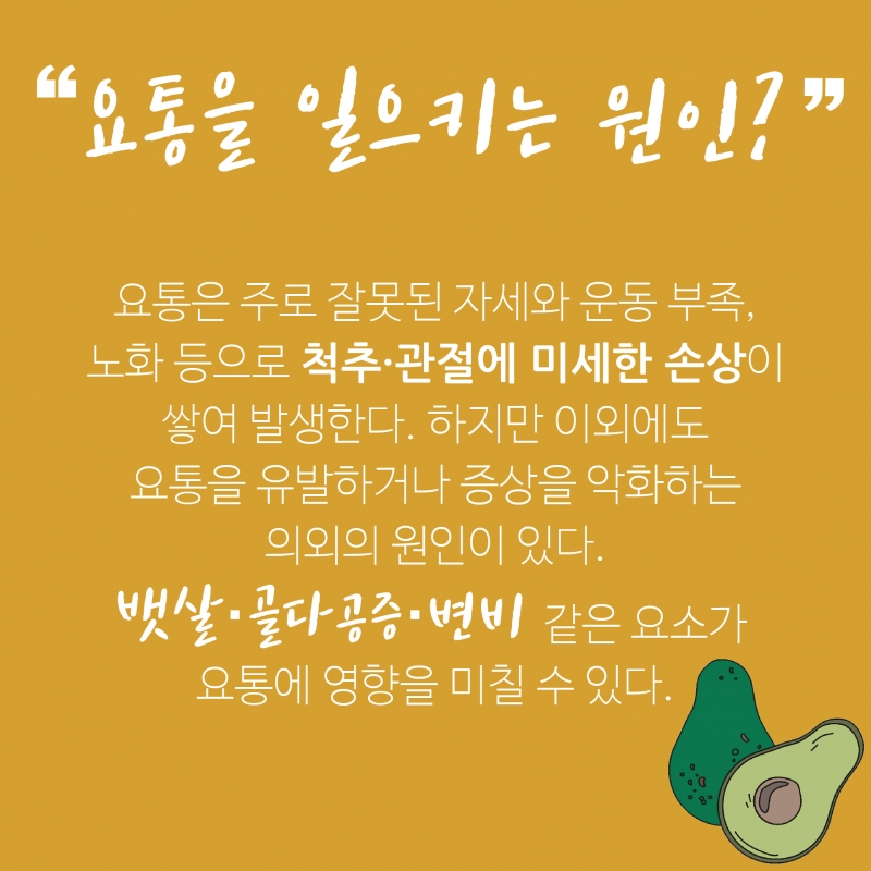 [허리통증 격파-1편] 허리가 아프다? 뱃살과 골다공증 점검해보세요