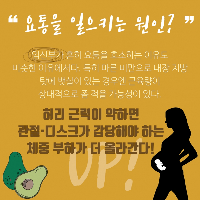 [허리통증 격파-1편] 허리가 아프다? 뱃살과 골다공증 점검해보세요