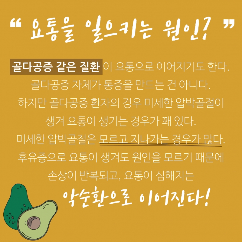 [허리통증 격파-1편] 허리가 아프다? 뱃살과 골다공증 점검해보세요