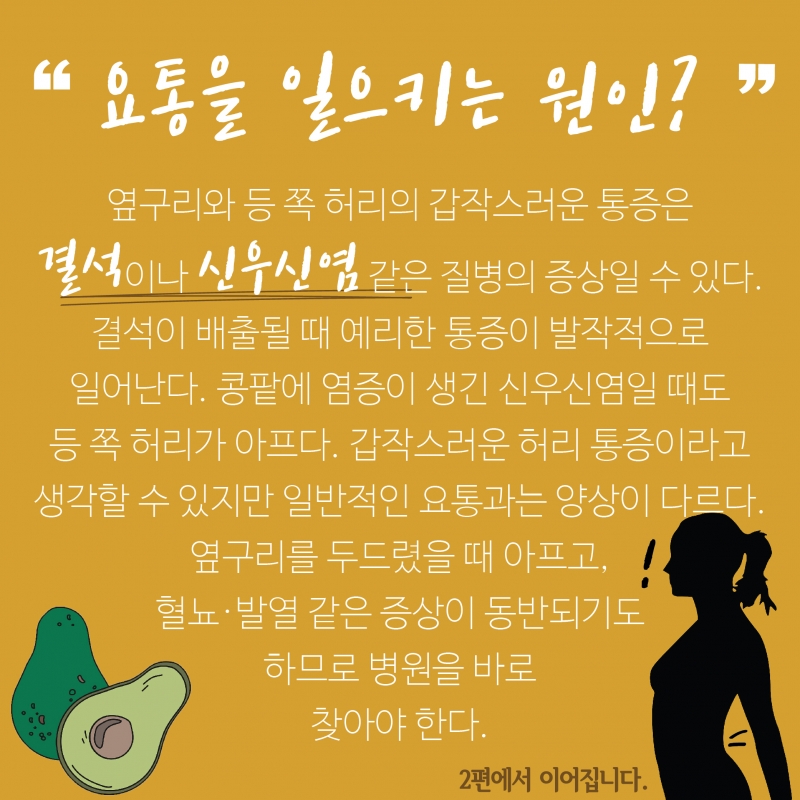 [허리통증 격파-1편] 허리가 아프다? 뱃살과 골다공증 점검해보세요