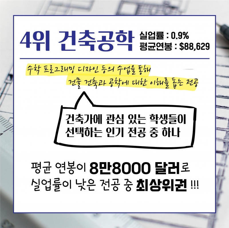 [취업률 높은 전공 TOP 4] 취업은 잘 되고 싶은데 무슨 전공을 선택해야 할까?