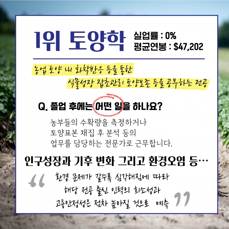 [취업률 높은 전공 TOP 4] 취업은 잘 되고 싶은데 무슨 전공을 선택해야 할까?