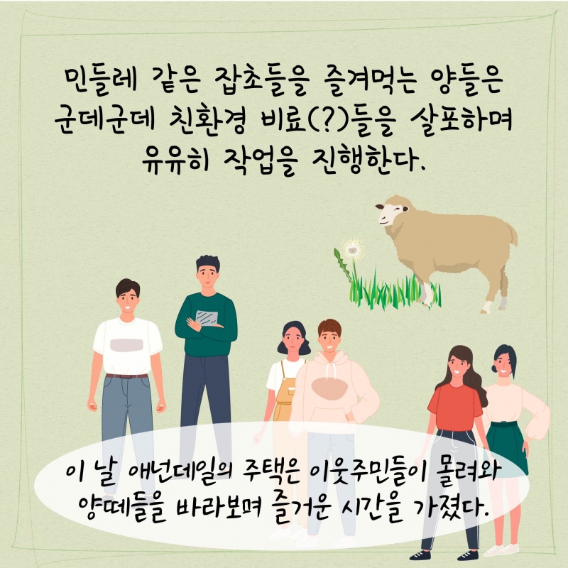 [로컬] 기계 대신에 양들이 잔디를 깎는다?