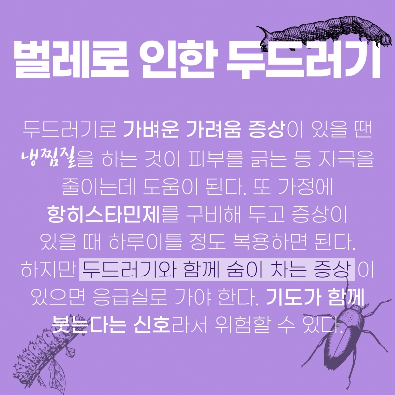 원인 모르는 여름철 가려움증에 대해 알아보자!