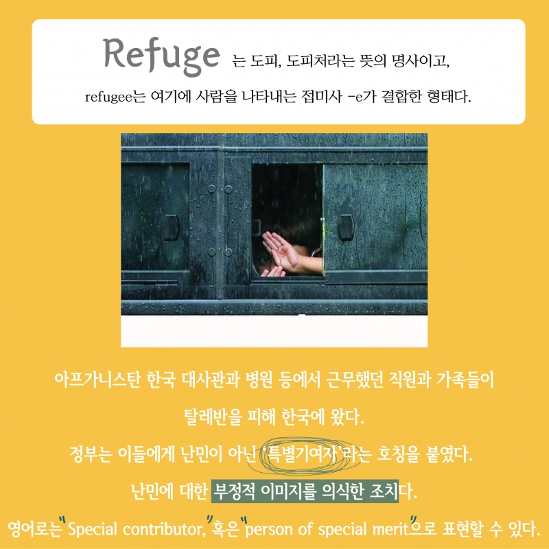 [찐영어] 번역기도 모르는 진짜영어 'Refugee'
